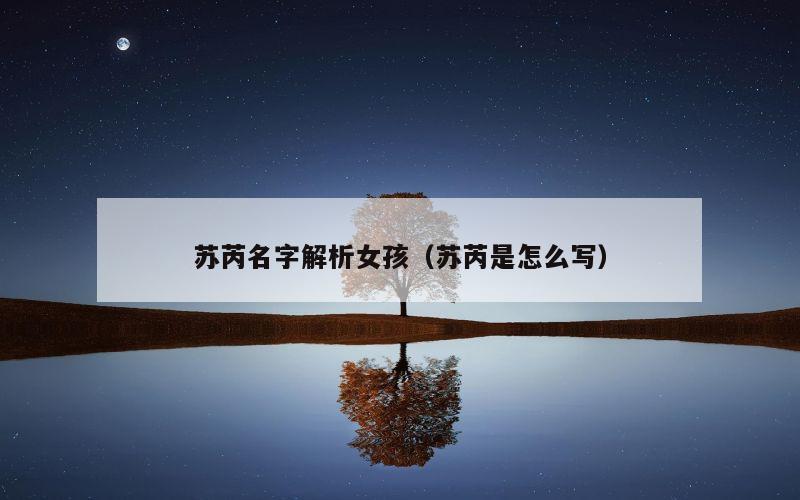苏芮名字解析女孩（苏芮是怎么写）