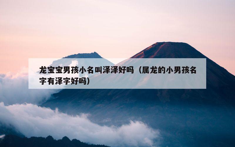 龙宝宝男孩小名叫泽泽好吗（属龙的小男孩名字有泽字好吗）