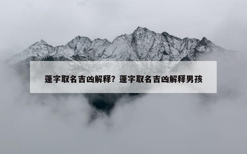 蓬字取名吉凶解释？蓬字取名吉凶解释男孩
