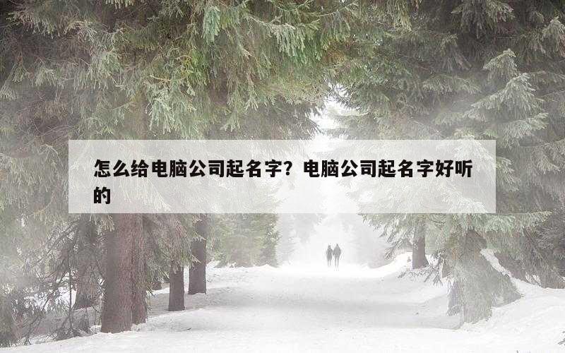 怎么给电脑公司起名字？电脑公司起名字好听的