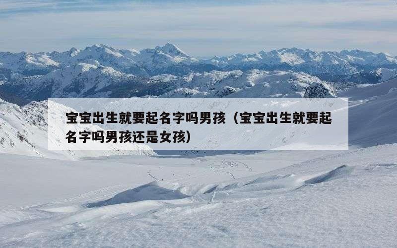 宝宝出生就要起名字吗男孩（宝宝出生就要起名字吗男孩还是女孩）