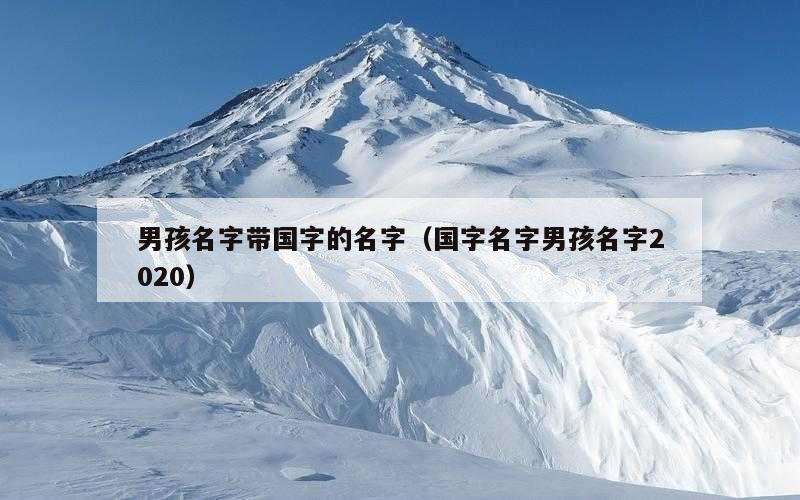 男孩名字带国字的名字（国字名字男孩名字2020）