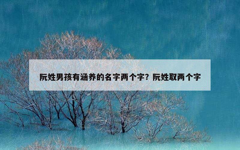 阮姓男孩有涵养的名字两个字？阮姓取两个字