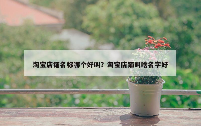 淘宝店铺名称哪个好叫？淘宝店铺叫啥名字好