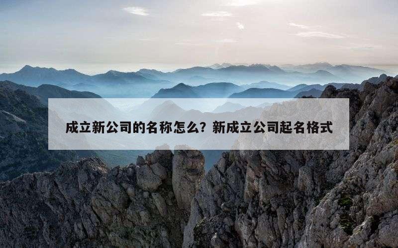 成立新公司的名称怎么？新成立公司起名格式