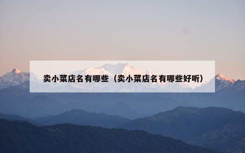 卖小菜店名有哪些（卖小菜店名有哪些好听）