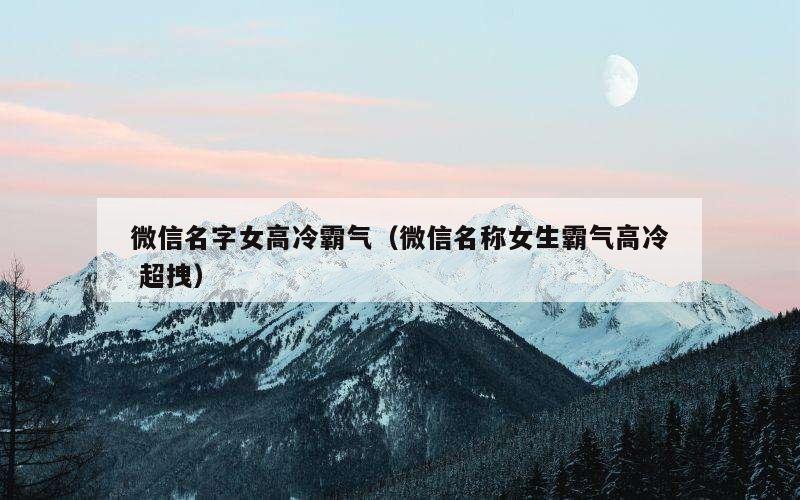 微信名字女高冷霸气（微信名称女生霸气高冷 超拽）
