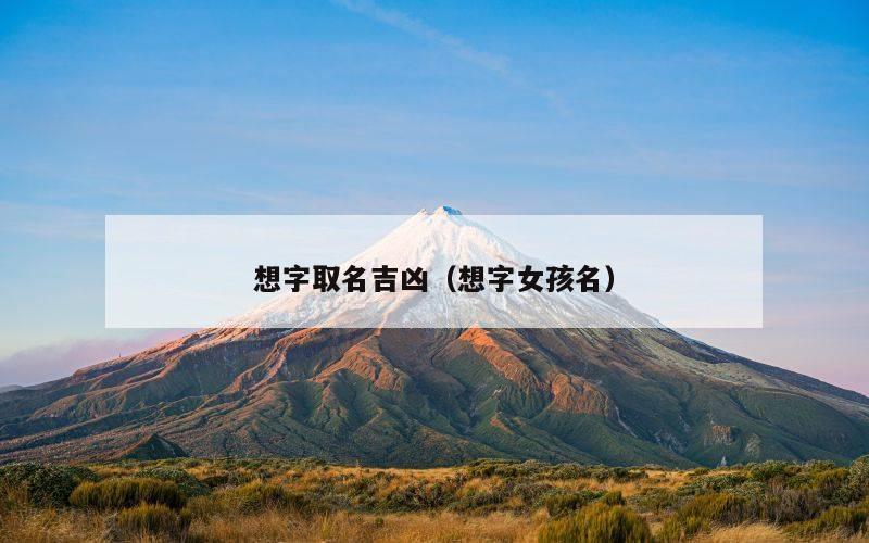 想字取名吉凶（想字女孩名）