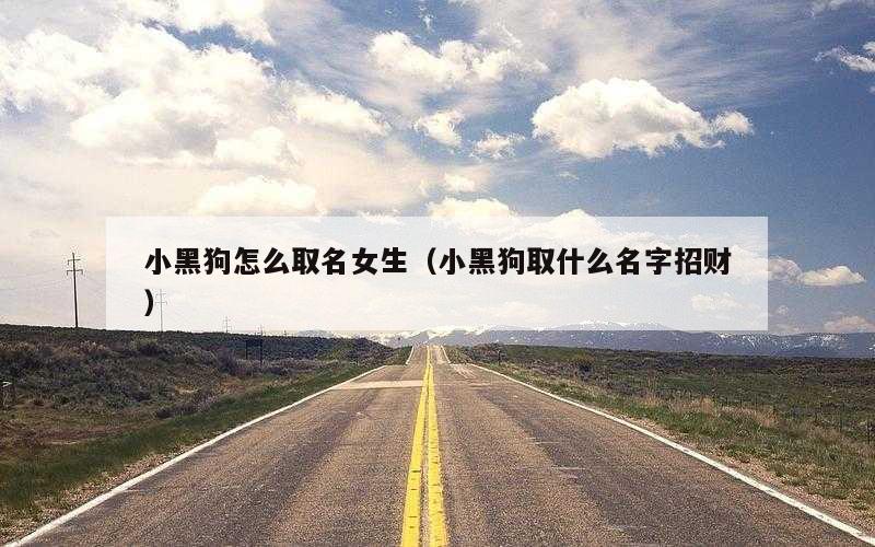 小黑狗怎么取名女生（小黑狗取什么名字招财）