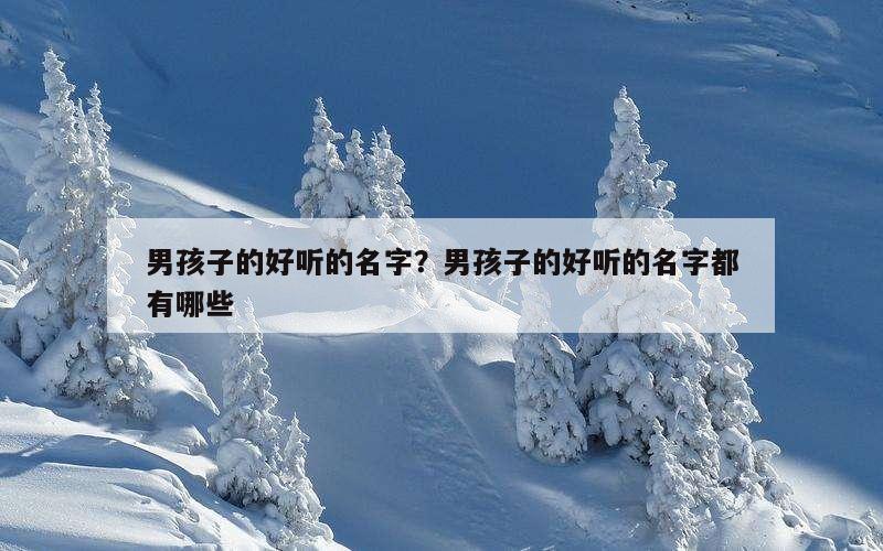 男孩子的好听的名字？男孩子的好听的名字都有哪些
