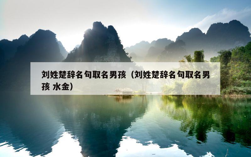 刘姓楚辞名句取名男孩（刘姓楚辞名句取名男孩 水金）
