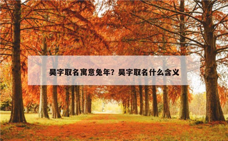 昊字取名寓意兔年？昊字取名什么含义