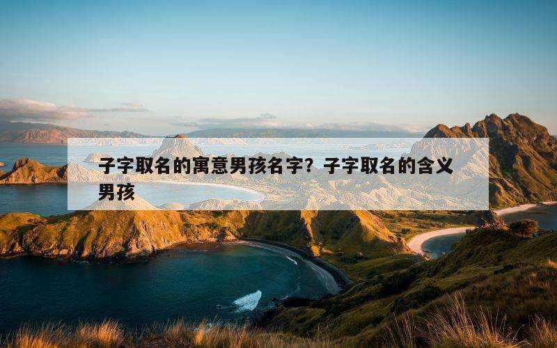 子字取名的寓意男孩名字？子字取名的含义 男孩