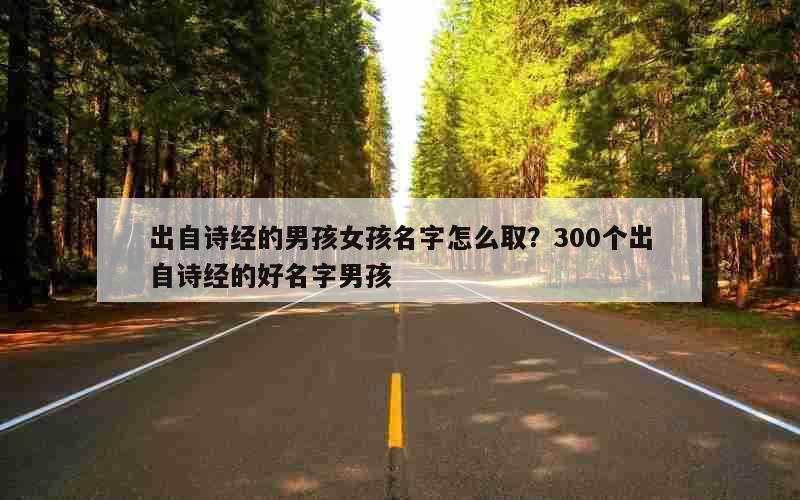 出自诗经的男孩女孩名字怎么取？300个出自诗经的好名字男孩