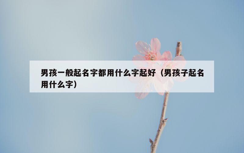 男孩一般起名字都用什么字起好（男孩子起名用什么字）