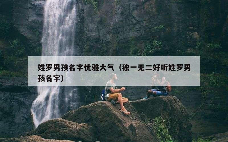 姓罗男孩名字优雅大气（独一无二好听姓罗男孩名字）