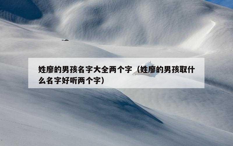姓廖的男孩名字大全两个字（姓廖的男孩取什么名字好听两个字）