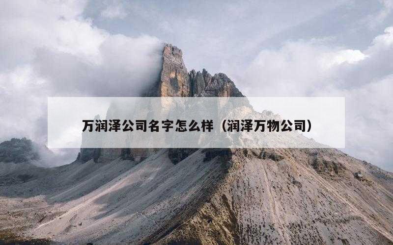 万润泽公司名字怎么样（润泽万物公司）