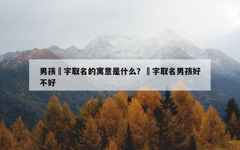 男孩璟字取名的寓意是什么？璟字取名男孩好不好