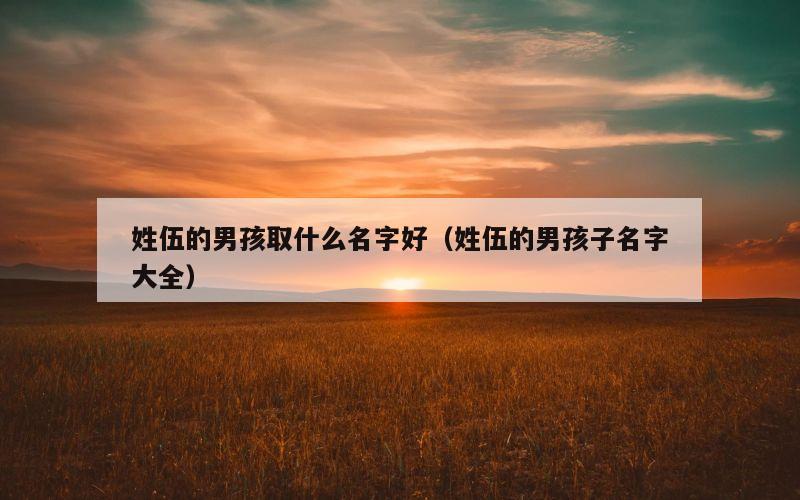 姓伍的男孩取什么名字好（姓伍的男孩子名字大全）