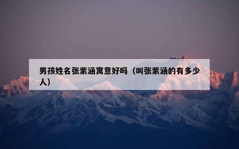 男孩姓名张紫涵寓意好吗（叫张紫涵的有多少人）