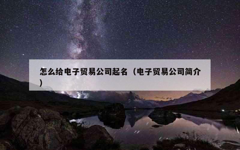 怎么给电子贸易公司起名（电子贸易公司简介）