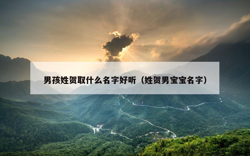 男孩姓贺取什么名字好听（姓贺男宝宝名字）