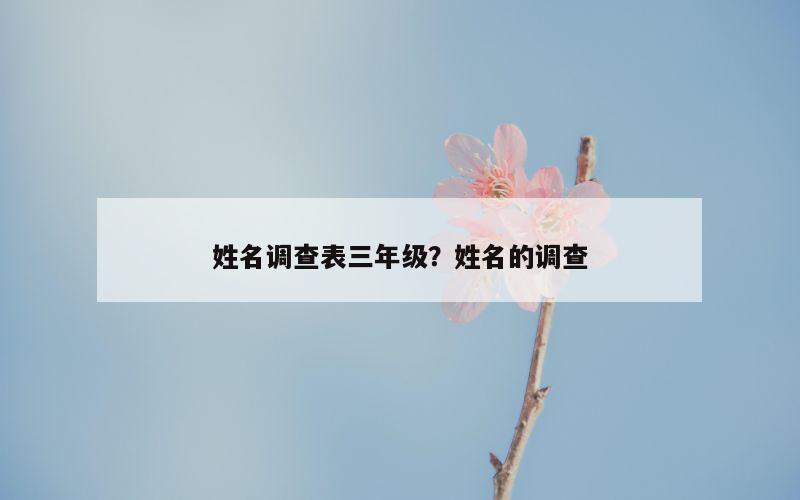 姓名调查表三年级？姓名的调查