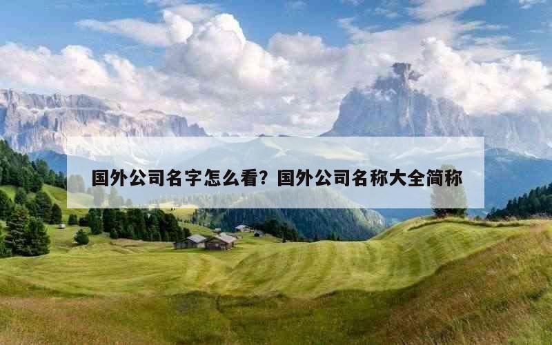 国外公司名字怎么看？国外公司名称大全简称