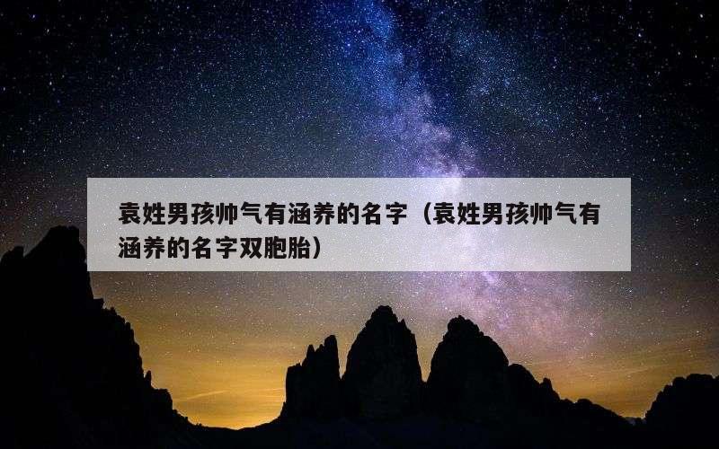 袁姓男孩帅气有涵养的名字（袁姓男孩帅气有涵养的名字双胞胎）