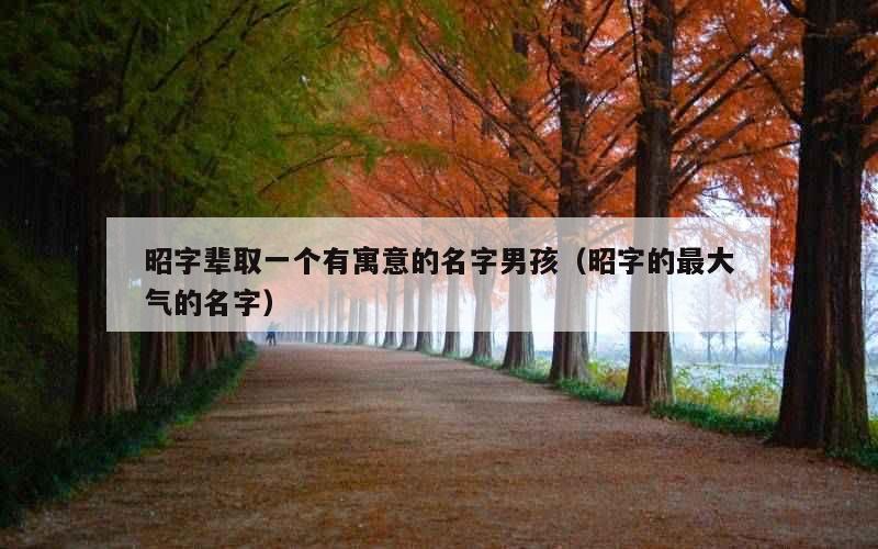 昭字辈取一个有寓意的名字男孩（昭字的最大气的名字）