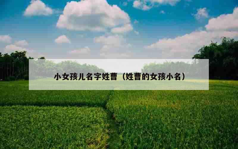小女孩儿名字姓曹（姓曹的女孩小名）