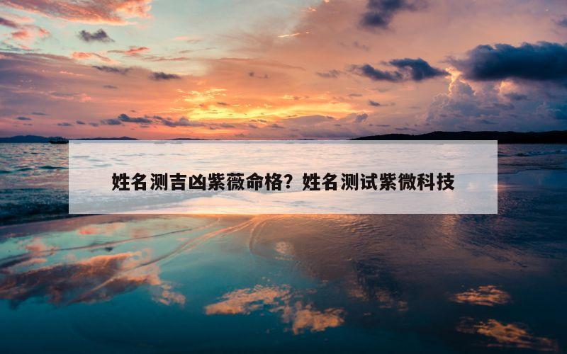 姓名测吉凶紫薇命格？姓名测试紫微科技
