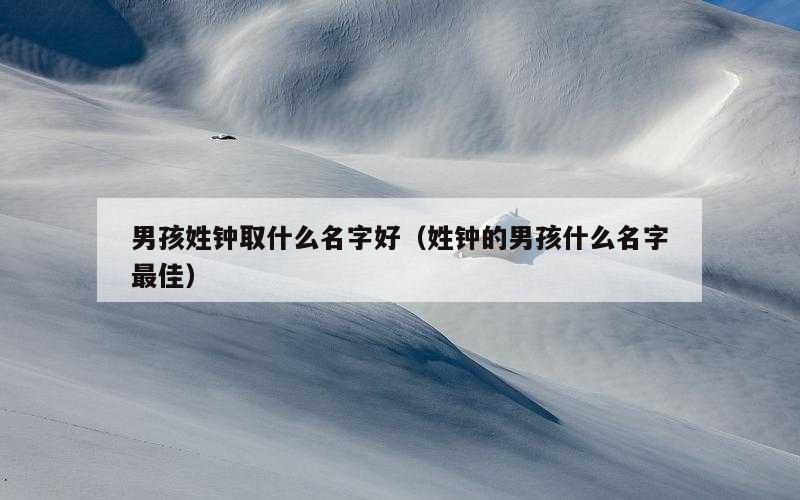 男孩姓钟取什么名字好（姓钟的男孩什么名字最佳）