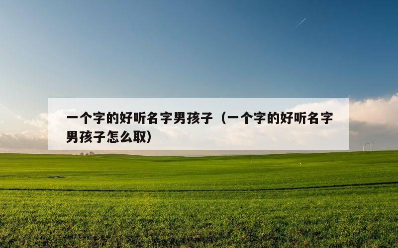一个字的好听名字男孩子（一个字的好听名字男孩子怎么取）