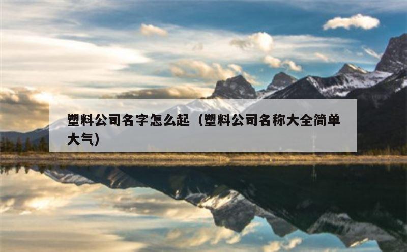 塑料公司名字怎么起（塑料公司名称大全简单大气）