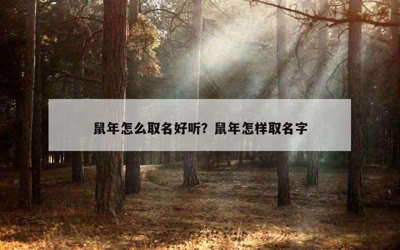 鼠年怎么取名好听？鼠年怎样取名字