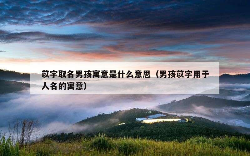 苡字取名男孩寓意是什么意思（男孩苡字用于人名的寓意）