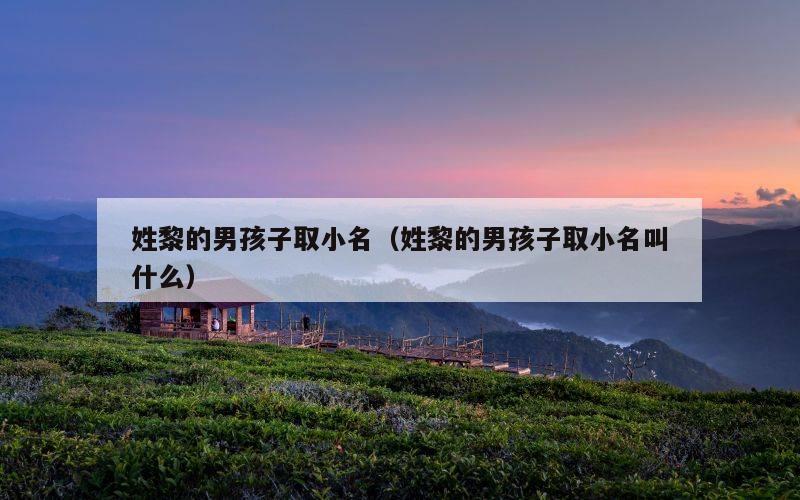 姓黎的男孩子取小名（姓黎的男孩子取小名叫什么）