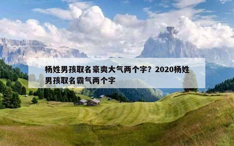 杨姓男孩取名豪爽大气两个字？2020杨姓男孩取名霸气两个字