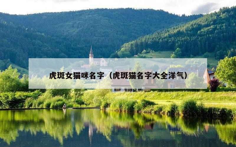 虎斑女猫咪名字（虎斑猫名字大全洋气）