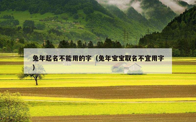 兔年起名不能用的字（兔年宝宝取名不宜用字）