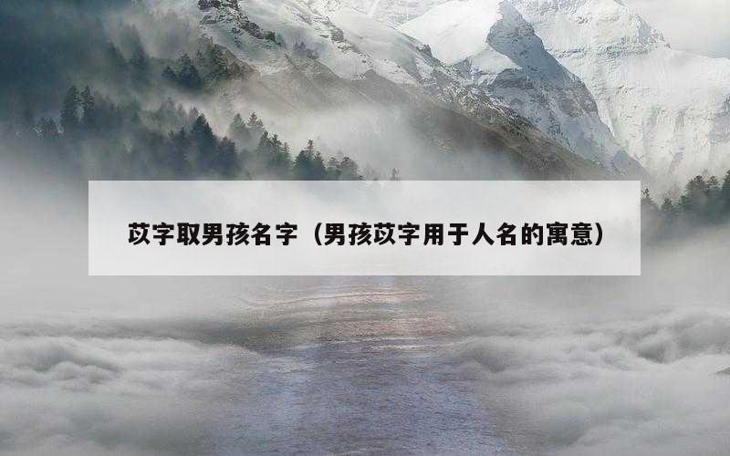 苡字取男孩名字（男孩苡字用于人名的寓意）