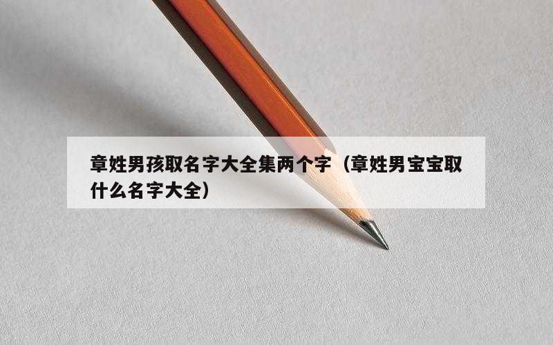 章姓男孩取名字大全集两个字（章姓男宝宝取什么名字大全）