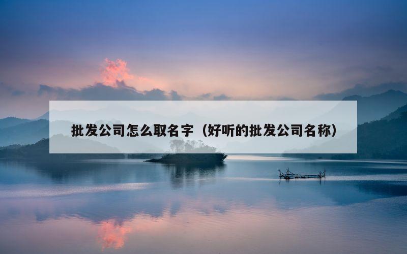 批发公司怎么取名字（好听的批发公司名称）