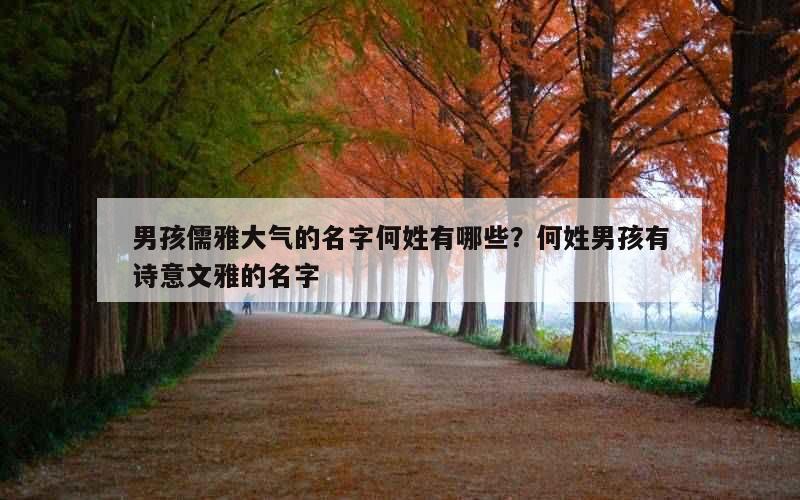 男孩儒雅大气的名字何姓有哪些？何姓男孩有诗意文雅的名字