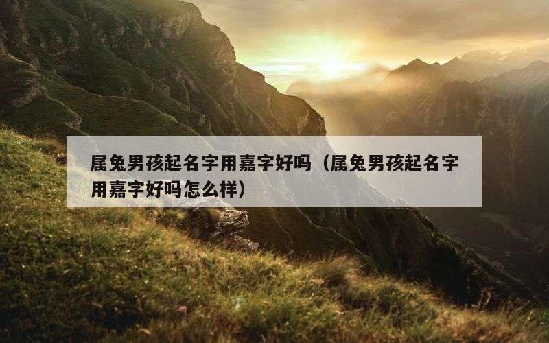 属兔男孩起名字用嘉字好吗（属兔男孩起名字用嘉字好吗怎么样）