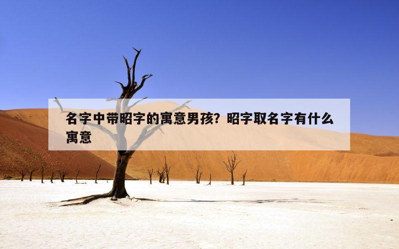 名字中带昭字的寓意男孩？昭字取名字有什么寓意