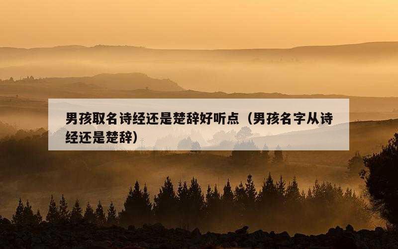 男孩取名诗经还是楚辞好听点（男孩名字从诗经还是楚辞）
