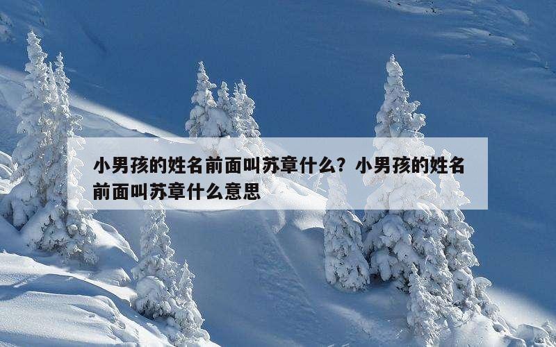 小男孩的姓名前面叫苏章什么？小男孩的姓名前面叫苏章什么意思